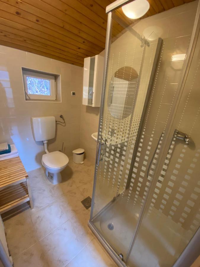 Apartma Regina سلوفينج غرادتس المظهر الخارجي الصورة